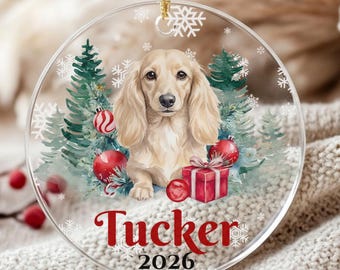 Custom Longhaired Cream Dachshund Christmas Ornament, Personalized Blonde Dachshund Acrylic Keepsake, Weiner Dog Lover Gifts