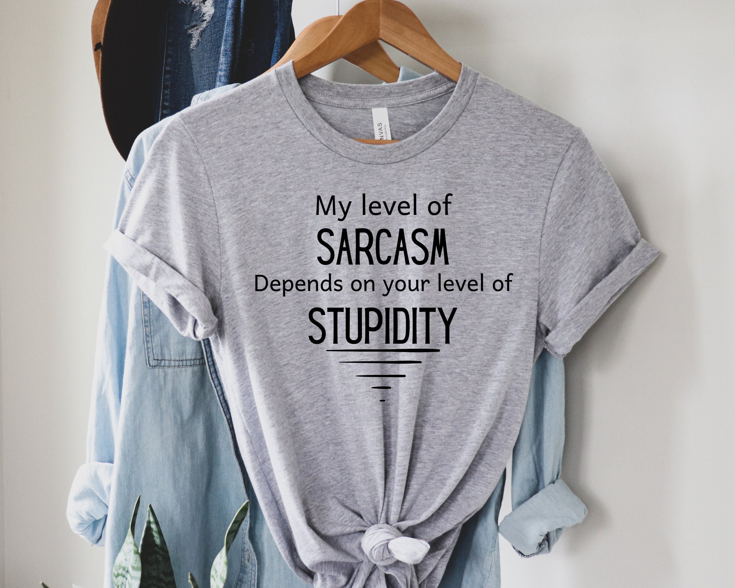 My Level Of Sarcasm Depends On Your Level Of Stupidity – Engraved