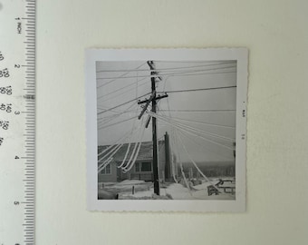 ORIGINAL Old Black and White Photograph, Junk Journal Ephemera, Vintage Pictures, ice storm, winter weather, 1950s historic image