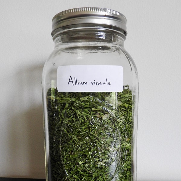 Wild Garlic Greens (Allium vineale), Chopped, Dried