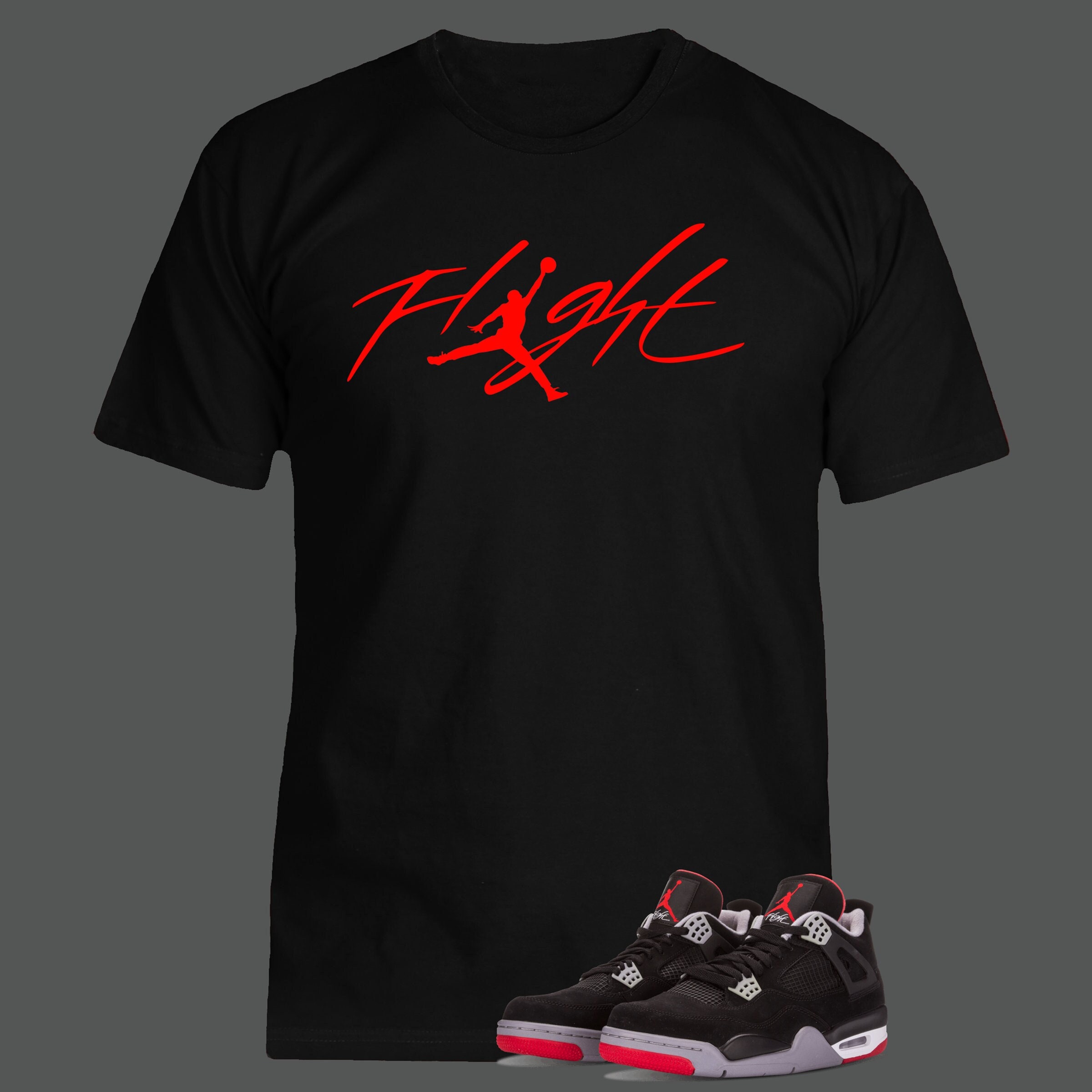 Sneaker Tee Shirt to Match Air Jordan 