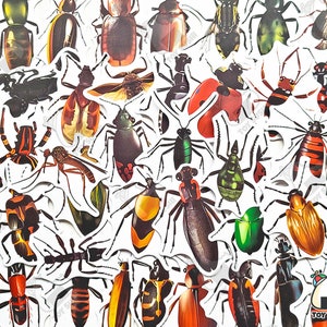 50 pcs &quot;Insects & Bugs&quot; Sticker Pack | Entomology | Scorpion | Insect Illustration | Ants | Lady Bug | Cockroach | Bug Stickers | Prank Mail