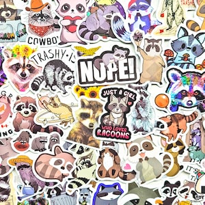 50 Stück Waschbär Sticker Pack | Waschbär Hund | Müll Panda | Rocket Waschbär | Waldkindergarten | Wildtiere | Waldtiere | Tier Sticker