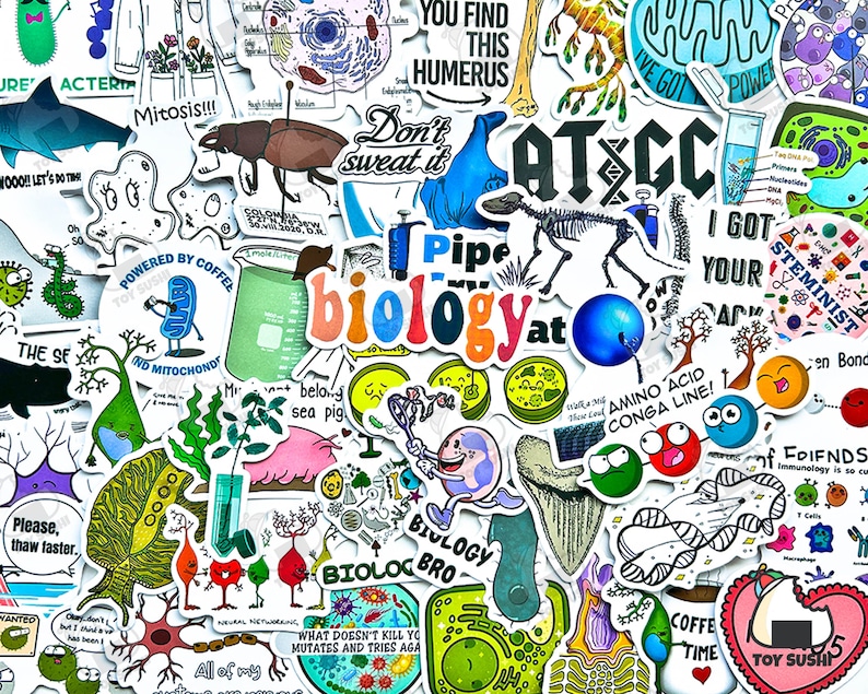 Puede incluir: Una colecci&oacute;n de pegatinas coloridas con tem&aacute;tica de biolog&iacute;a con varias ilustraciones y texto. Las pegatinas presentan im&aacute;genes de c&eacute;lulas, esqueletos y conceptos cient&iacute;ficos. El texto incluye "Biology", "Mitosis!!!" y "Amino Acid Conga Line!"