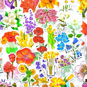 「花」ステッカー 50 枚パック | 押し花 | メープル リーフ | 花柄 | 植物ステッカー | 自然ステッカー | 植物ステッカー