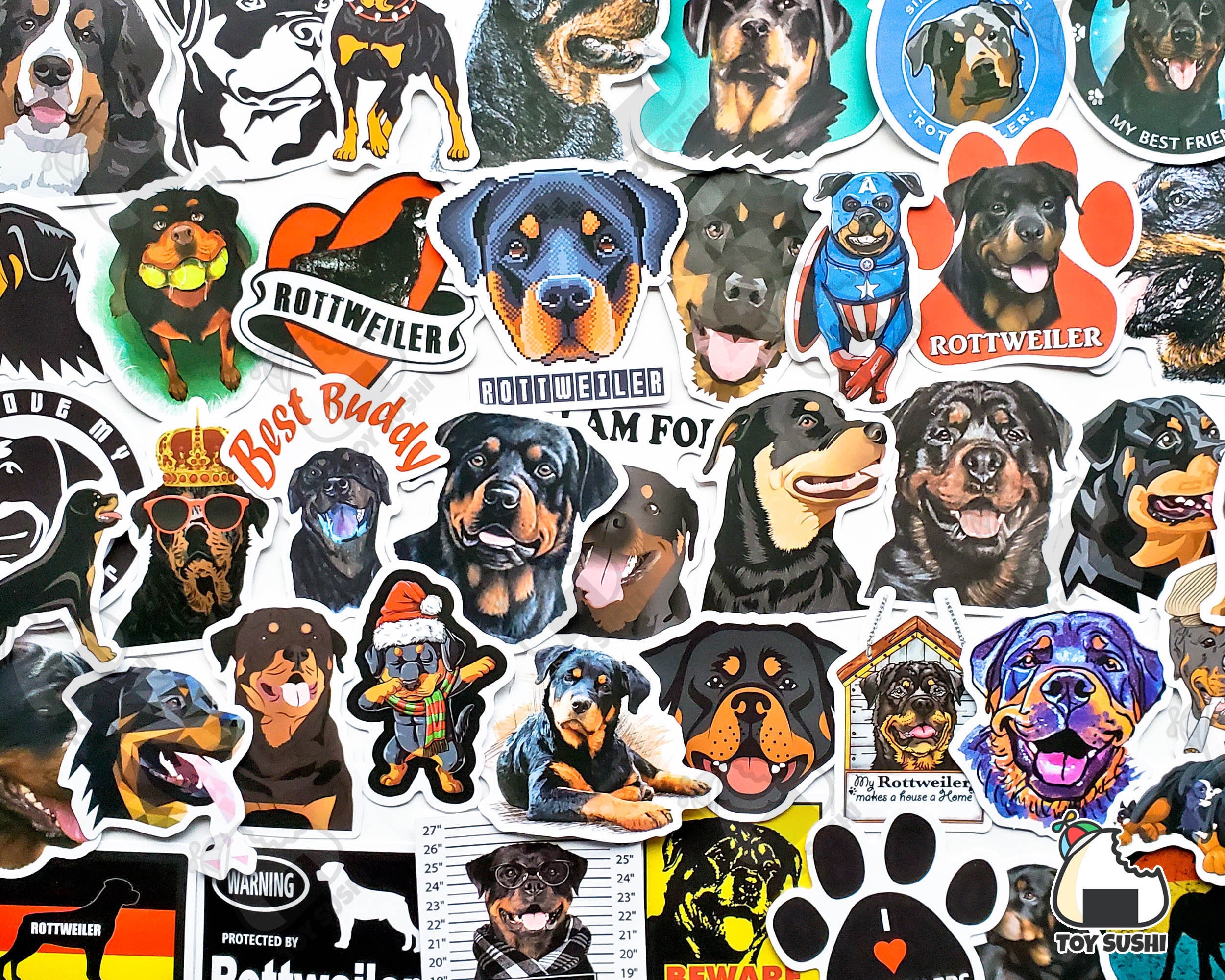 50 Pcs 