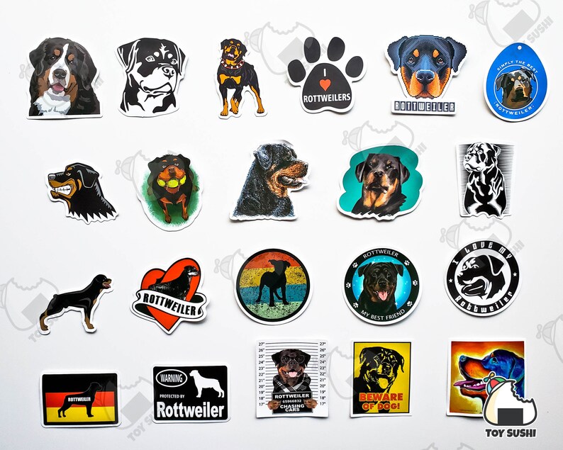 50 Pcs 