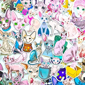 Lot de 50 autocollants « Chat Sphynx » | Chat porte-bonheur | Pharaon égyptien | Chat nu | Cadeaux pour amoureux des chats | Sans fourrure | Décoration de grotte pour chat culte