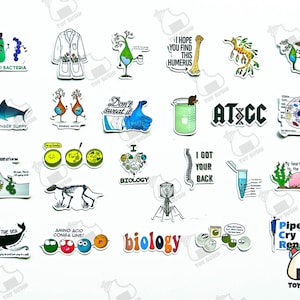 Puede incluir: Una colecci&oacute;n de pegatinas con tem&aacute;tica cient&iacute;fica que presentan varias ilustraciones y texto. Los dise&ntilde;os incluyen una bata de laboratorio, un tibur&oacute;n, un vaso de precipitados, una columna vertebral y la palabra "Biolog&iacute;a". Las pegatinas son coloridas y tienen un borde blanco.