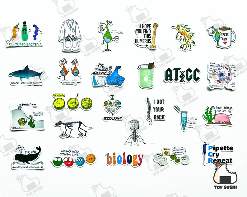 Puede incluir: Una colecci&oacute;n de pegatinas con tem&aacute;tica cient&iacute;fica que presentan varias ilustraciones y texto. Los dise&ntilde;os incluyen una bata de laboratorio, un tibur&oacute;n, un vaso de precipitados, una columna vertebral y la palabra "Biolog&iacute;a". Las pegatinas son coloridas y tienen un borde blanco.