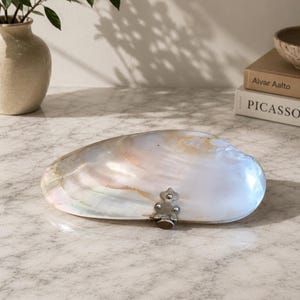 Könnte beinhalten: Eine große, irisierende weiße Muschelschale mit einem silbernen Verschluss. Die Schale hat einen perlmuttartigen Glanz mit rosa und gelben Farbtönen. Die Muschelschale ist ein dekorativer Gegenstand.