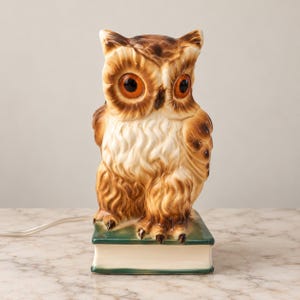 Könnte beinhalten: Eine Eulenlampe aus Keramik mit braunem und cremefarbenem Gefieder, großen orangefarbenen Augen und einem dunklen Schnabel. Die Eule sitzt auf einem rechteckigen, buchförmigen Sockel mit grünen Kanten und weißem Rücken. Ein weißes Stromkabel ragt hervor.