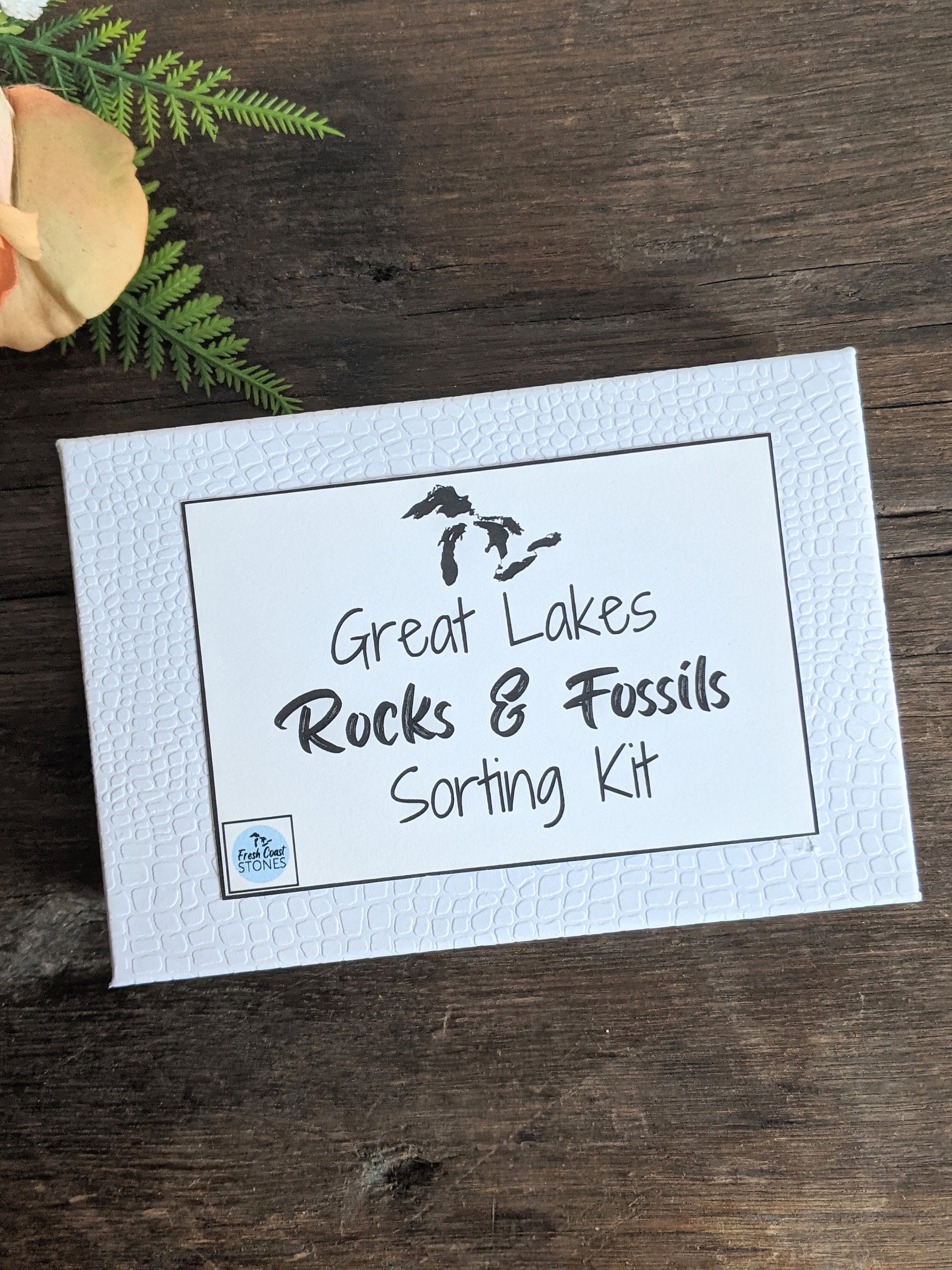 Great Lakes Rock/fossil Sorting Kit Etsy