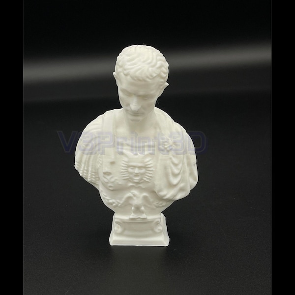 Julius Caesar Bust, Roman theme decoration for home, office, desk top, Roman theme statue, 3D printed