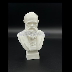 Charles Darwin Bust,  History Statue, History, Science, Naturalist decoration for home, office, desk top.
