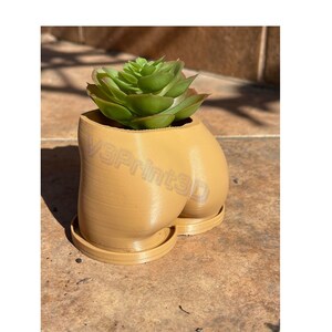 booty planter plant pot for succulents, air plants or any small plant, 3D printed planter box, female lower torso, sexy gift,