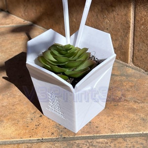 May include: A white takeout container with a green succulent plant inside. Two white chopsticks are sticking out of the top of the container.