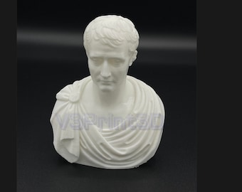 Roman Emperor Bust, Roman Statue decoration for home, office, desk top. 3D printed roman theme