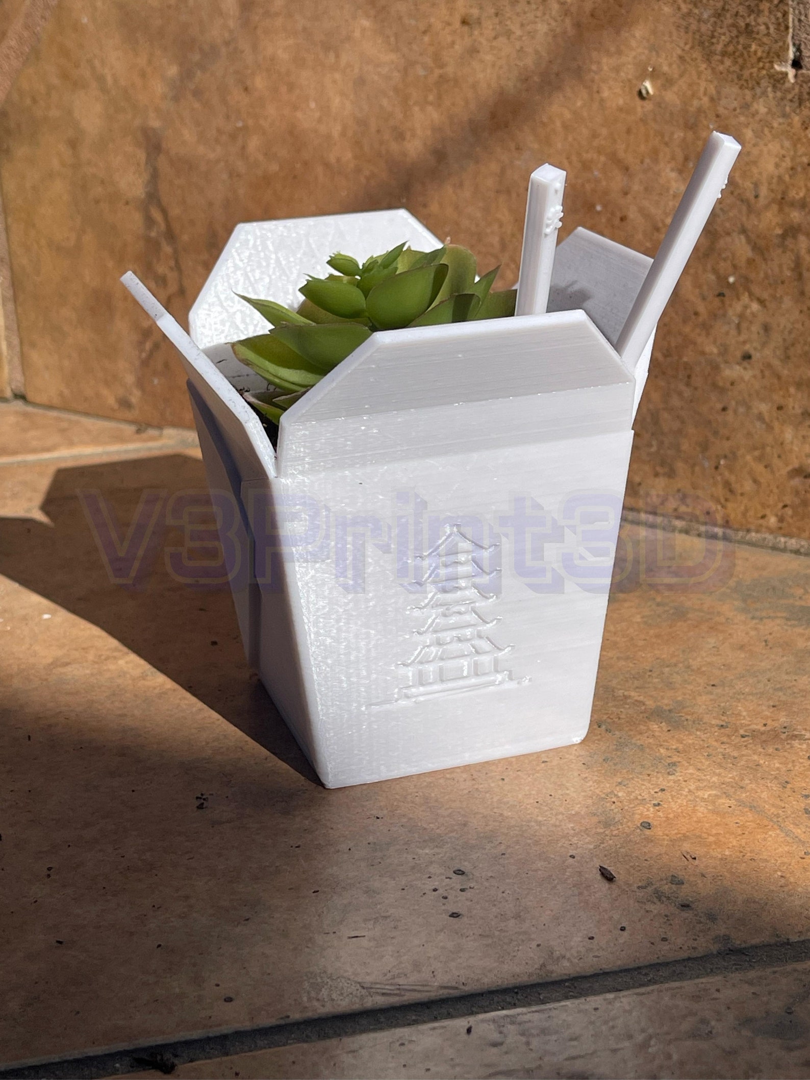 Chinese Takeout Planter Plant Pot for Succulents Air Plants Etsy