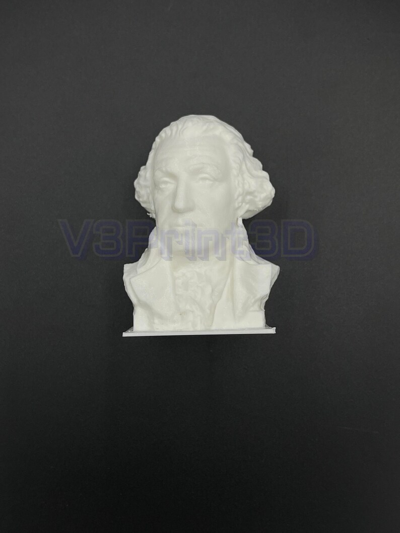 May include: A white 3D printed bust of a man with a short, curly wig. The bust is detailed and shows the man's face and neck.