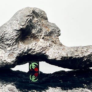 CAMPO DEL CIELO 1.555kg Self Standing Iron Meteorite