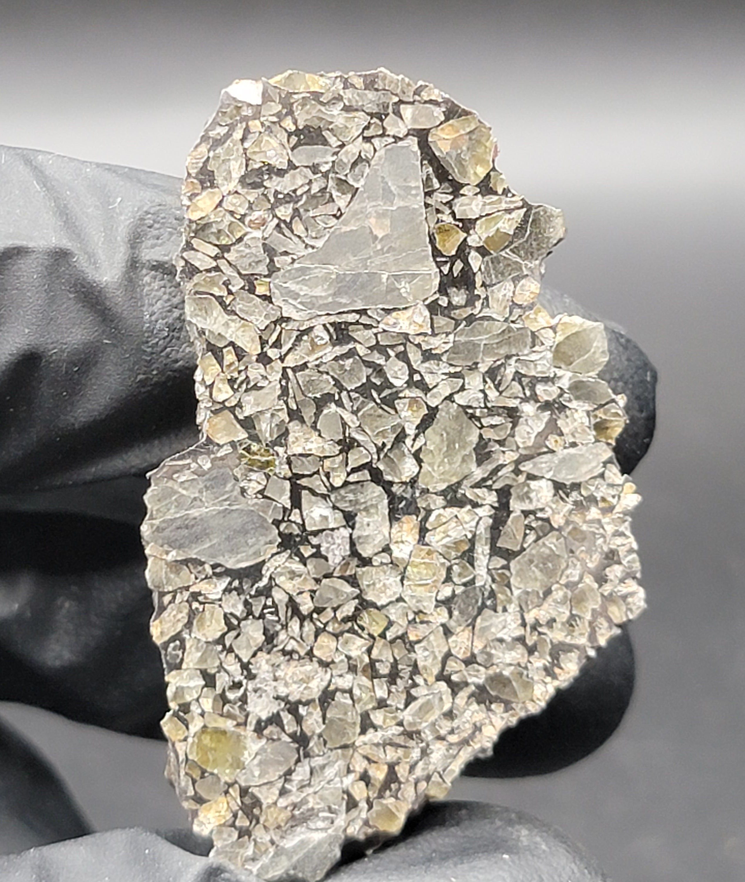 Shirokovsky - 36.4 Gram GORGEOUS End Cut - Pseudometeorite (not a ...