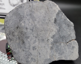 SCARY SPOOKY SKULL Gift Set:  Brecciated Eucrite Skull Shaped Meteorite and Halloween Extras