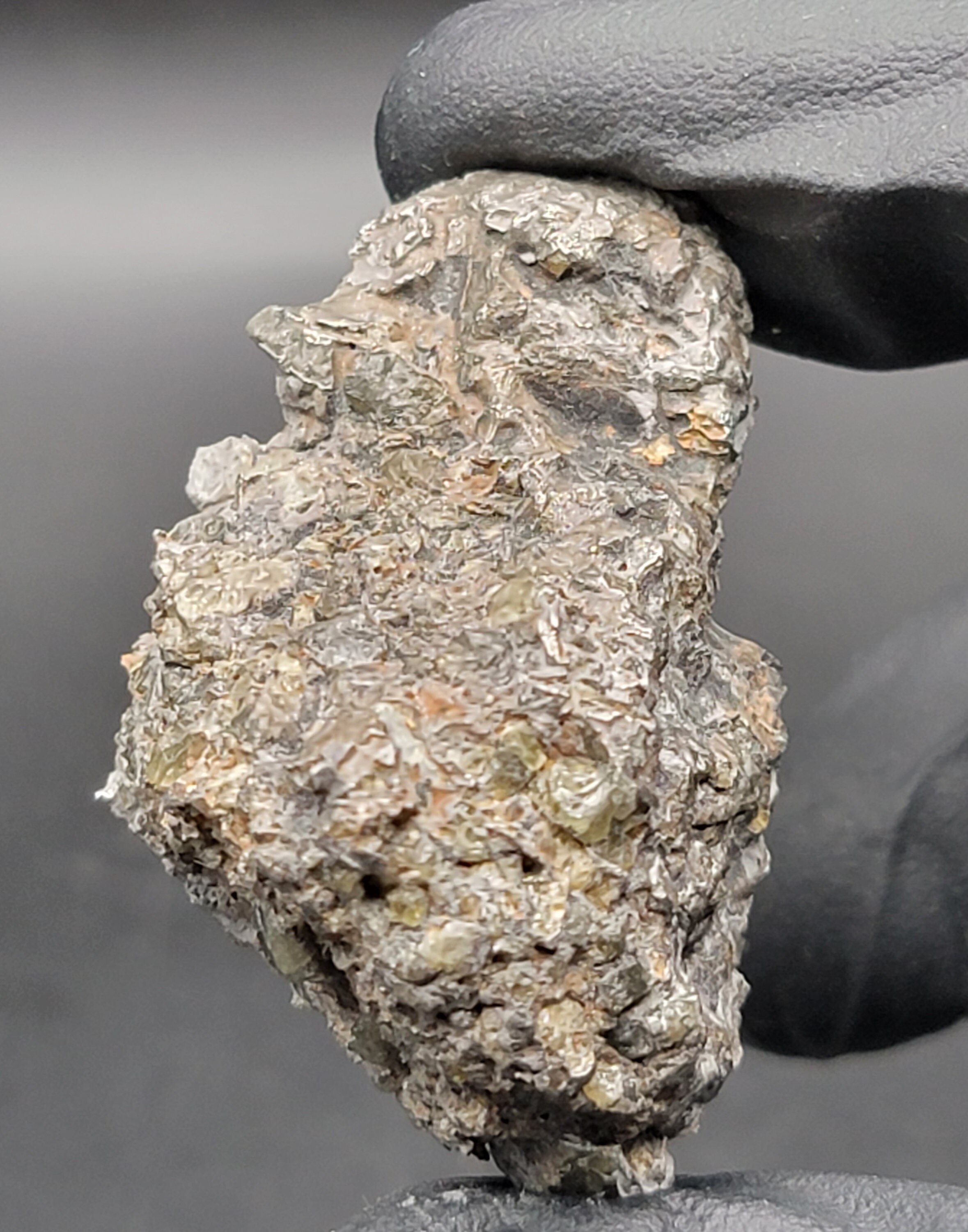 Shirokovsky - 36.4 Gram GORGEOUS End Cut - Pseudometeorite (not a ...