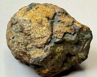 Sericho 12.61g, Pallasite Meteorite, Individual Stone