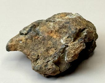 Sericho 10.99g, Pallasite Meteorite, Individual Stone
