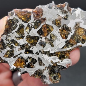 NWA 15428 (72.7g) Etched Pallasite Meteorite End Cut