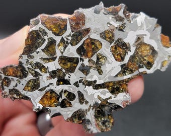 May include: A close-up of a meteorite with a silvery-grey matrix and embedded chondrules, which are small, round, glassy inclusions. The chondrules are a variety of colors, including brown, green, and black.