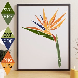 Oiseau de paradis Svg, oiseau de paradis fleur Svg, fleur Svg, fleur exotique Strelitzia, Orange fleur Svg, botanique, Floral svg