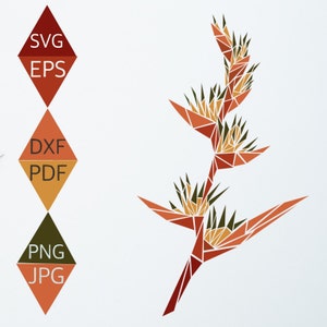 Heliconia Flower Svg, Heliconia Svg, Tropical Flower Svg, Hawaii Flower svg, Bird of Paradise Svg, Heliconia psittacorum Svg, Instant Download
