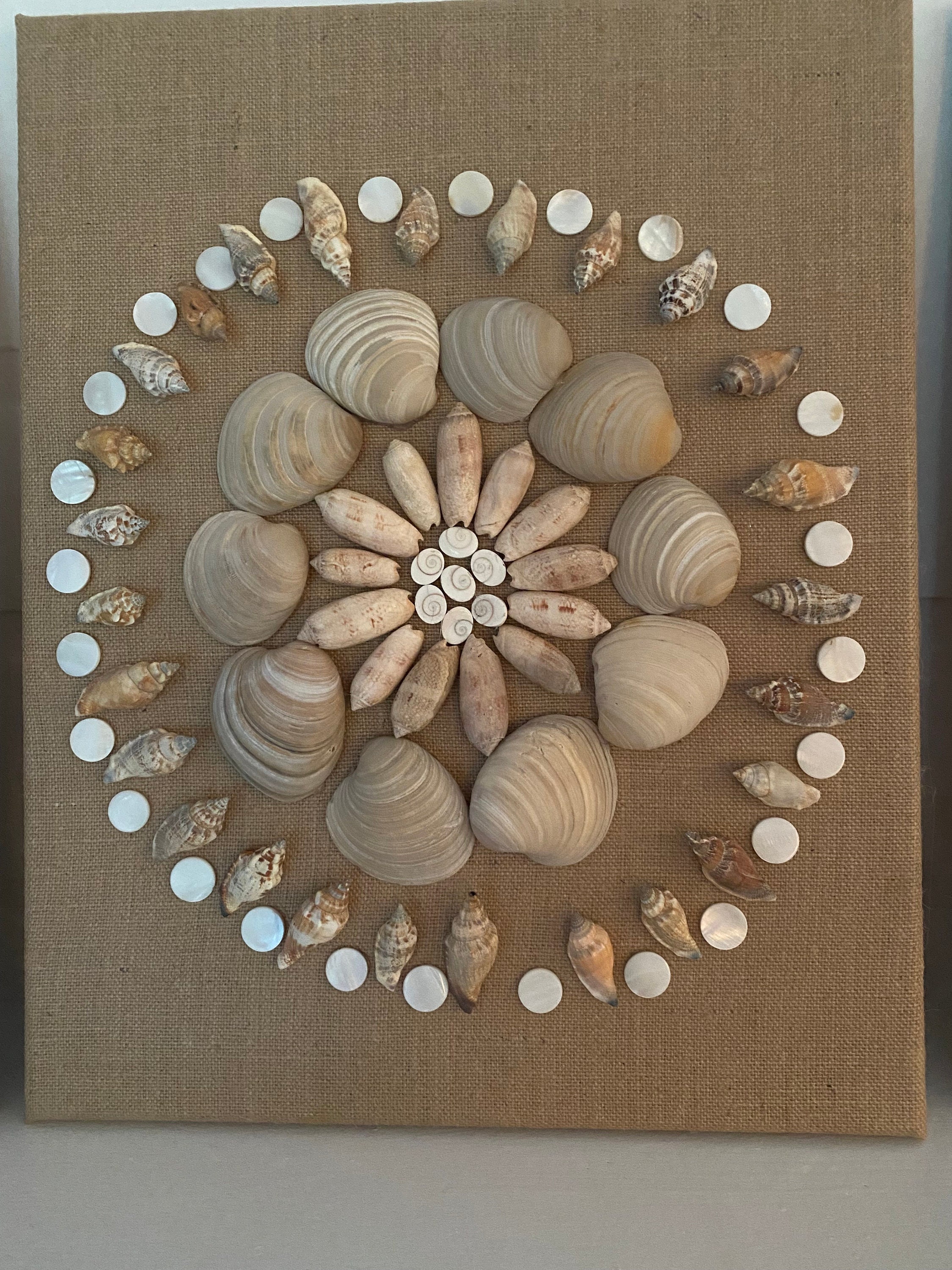 Seashell Decore Coastal Seashell Home Decor - Etsy