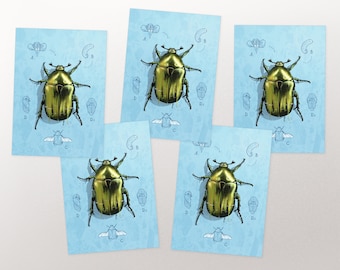 Card set rose beetle with metallic effect, postcard, greeting card A6