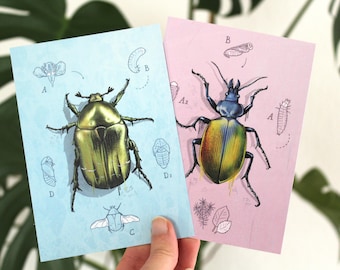 Postcard set beetle with metallic effect, postcard, greeting card A6