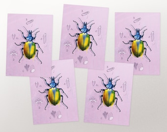 Postcard Set Beetle with metallic effect, postcard, greeting card A6
