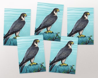 Postcard set Falcon, postcards, greeting cards A6