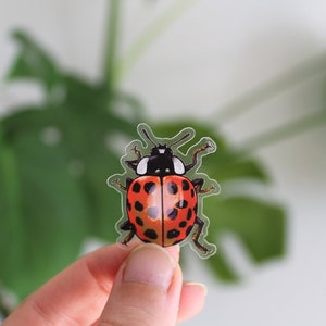 Sticker set beetles, ladybugs, 5 pieces, stickers image 1
