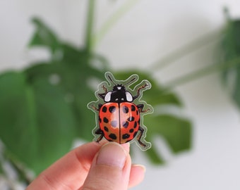 Sticker set beetles, ladybugs, 5 pieces, stickers