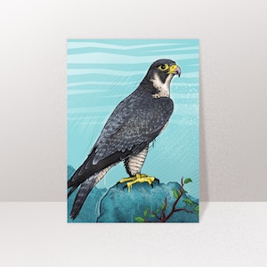 Mappa Bird Falcon, Cartolina, Biglietto di auguri A6