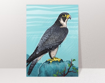 Map Bird Falcon, Postcard, Greeting Card A6