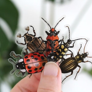 Sticker set beetles, 5 pieces, stickers image 1