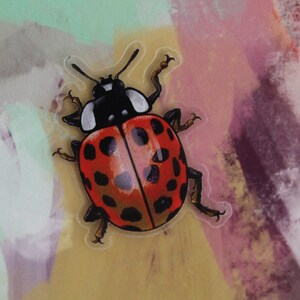 Sticker set beetles, ladybugs, 5 pieces, stickers image 2