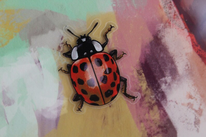 Sticker set beetles, ladybugs, 5 pieces, stickers image 2