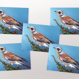 Postkarten-Set Drossel, Postkarten, Grußkarten A6