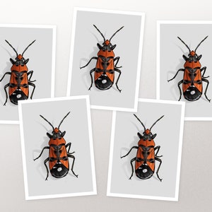 Set de cartes postales Beetle Fire Bug, carte, carte de vœux A6