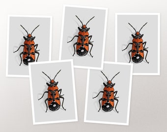 Postcard set beetle fire bug, card, greeting card A6