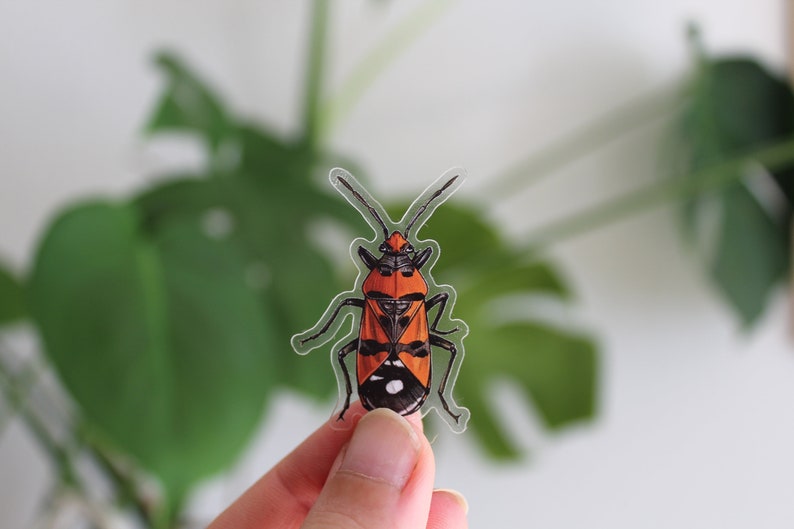 Sticker set beetles, 5 pieces, stickers image 6